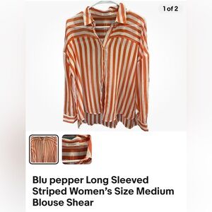 Blu Pepper Long Sleeved Striped Women’s Size Medium Blouse, Shear